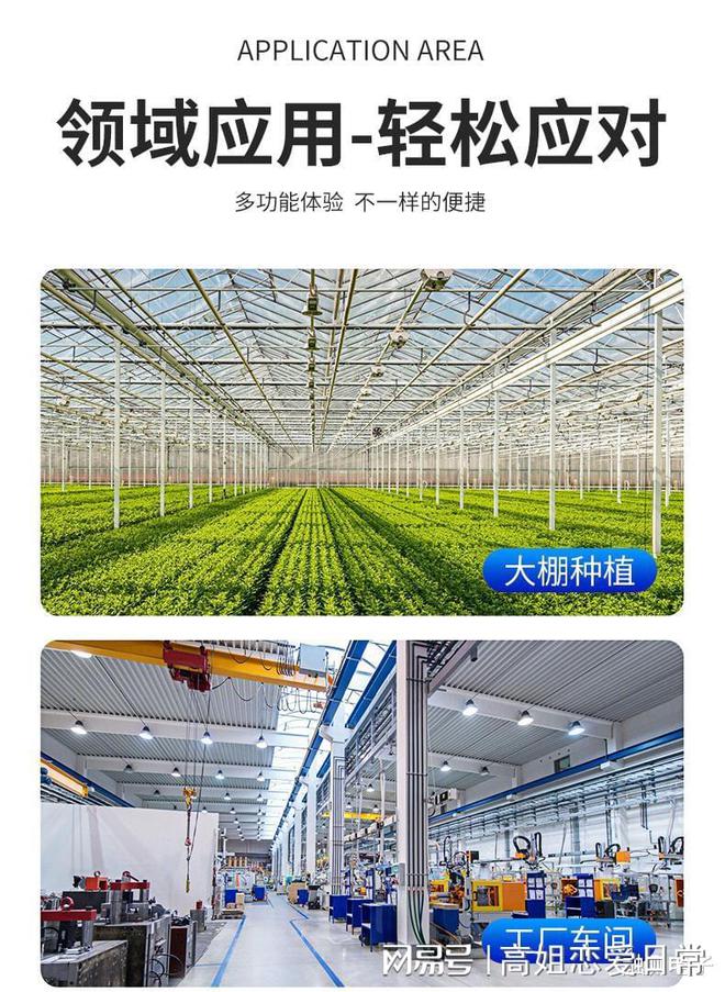 乐动体育 LD体育未来温湿度检测的便利与应用