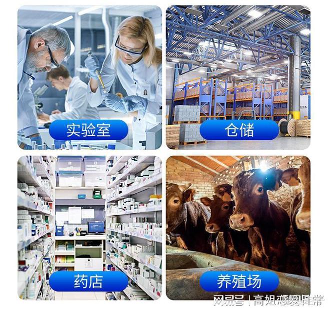 乐动体育 LD体育未来温湿度检测的便利与应用(图2)