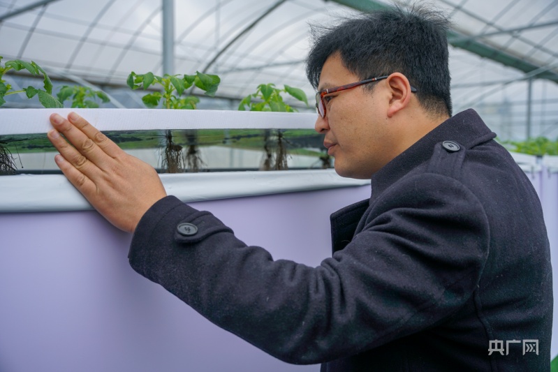 LD乐动体育【云遇中国·千里追耕】洋芋种在空气中 高科技助力乡村振兴(图3)