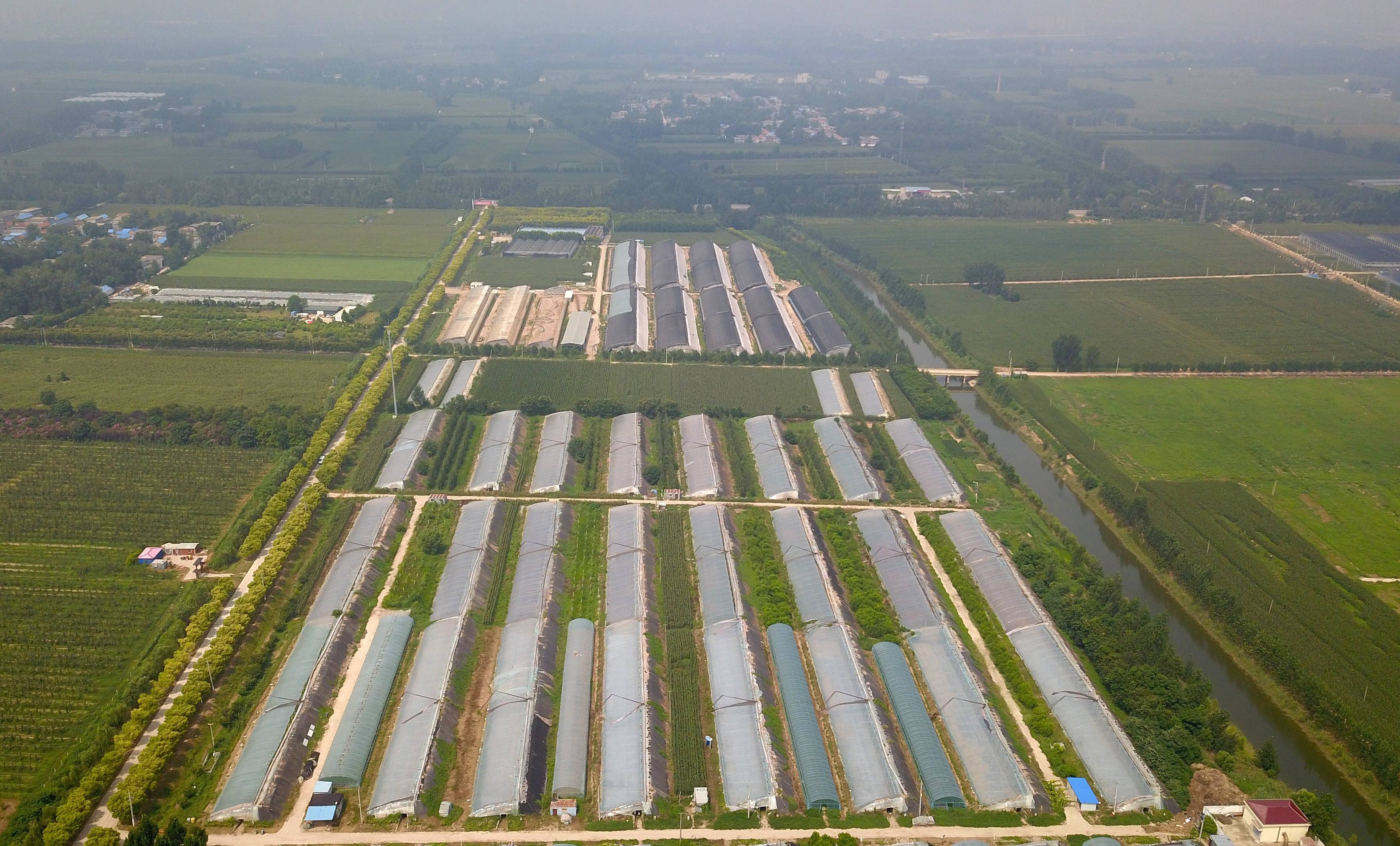 乐动体育经济）山东定陶：自动控温大棚里蔬菜育苗忙(图5)