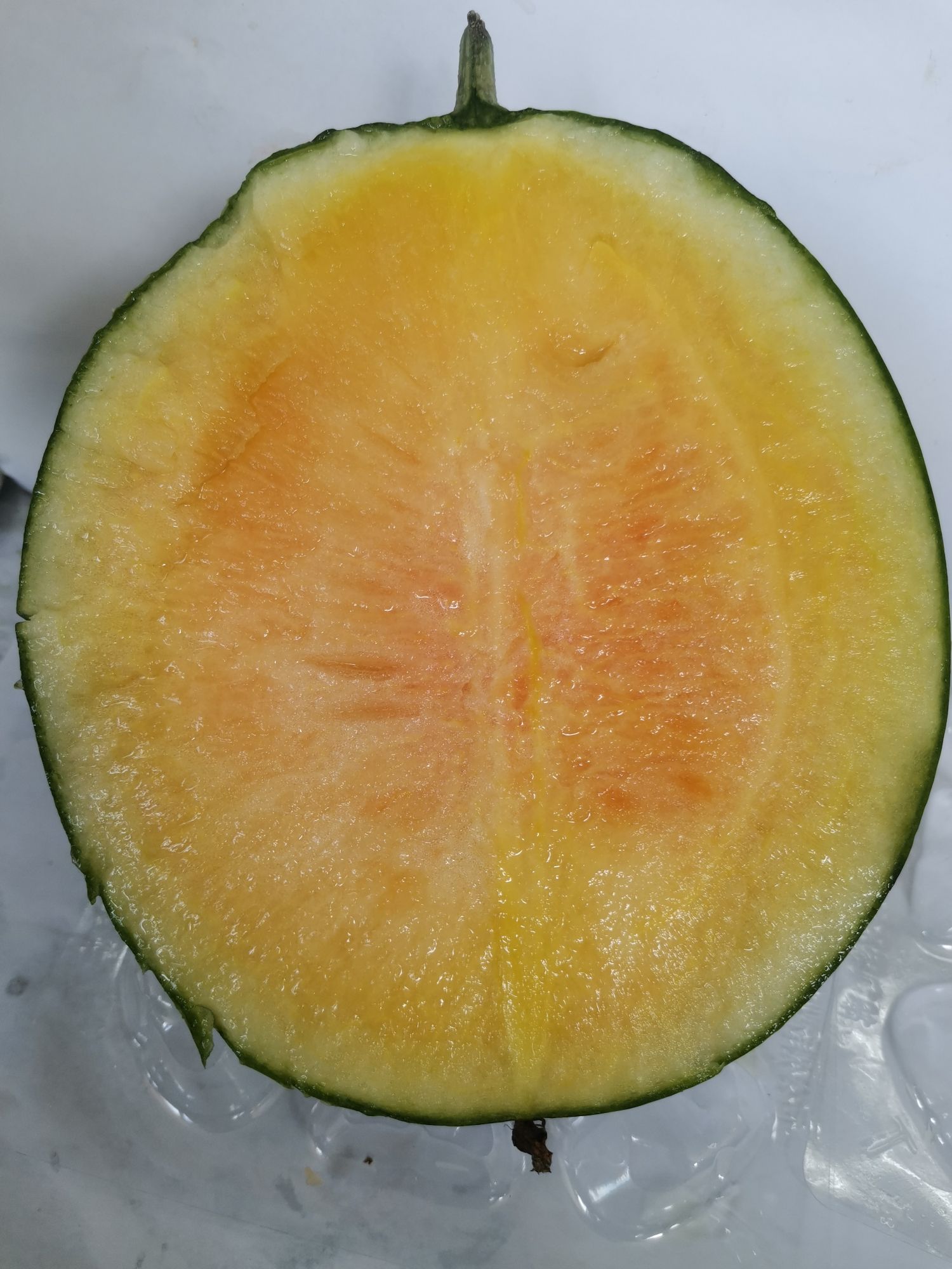 LD乐动体育三农科普冷凉地区小型西瓜育苗要点(图2)