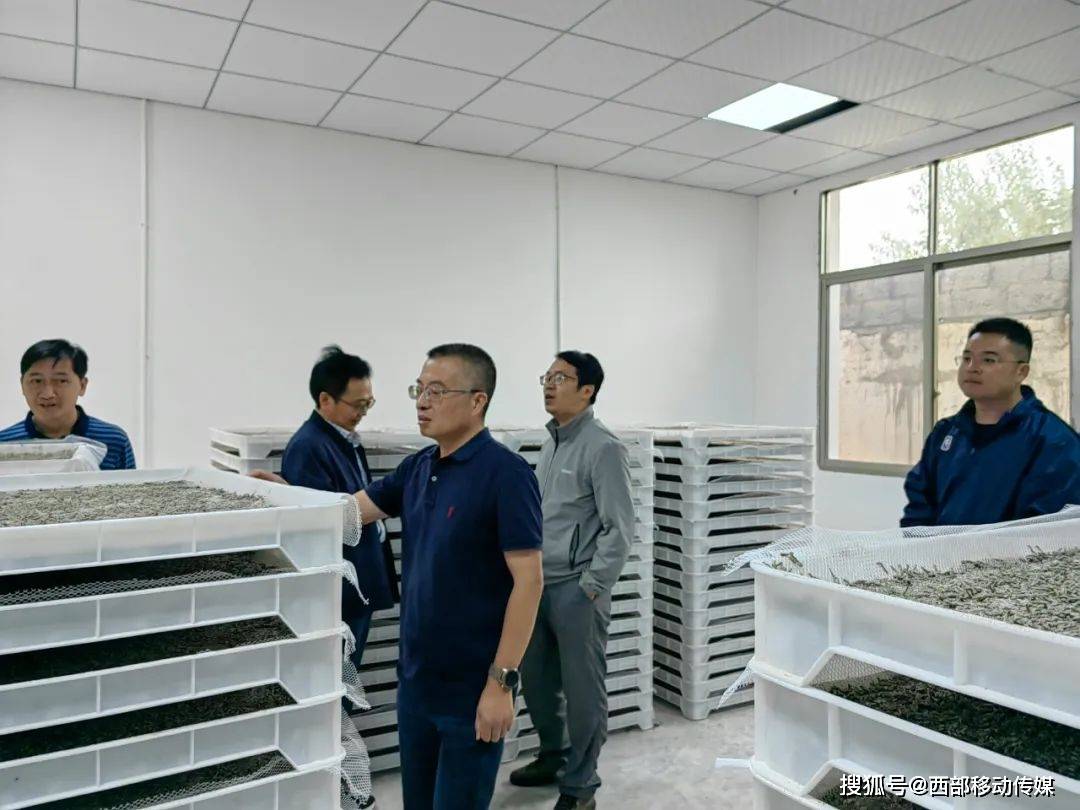 云南巧家：专家进园乐动体育区助力蚕桑产业发展