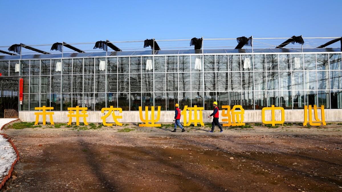 兰溪“零碳大棚乐动体育 LD体育”开启绿色农业新模式(图2)