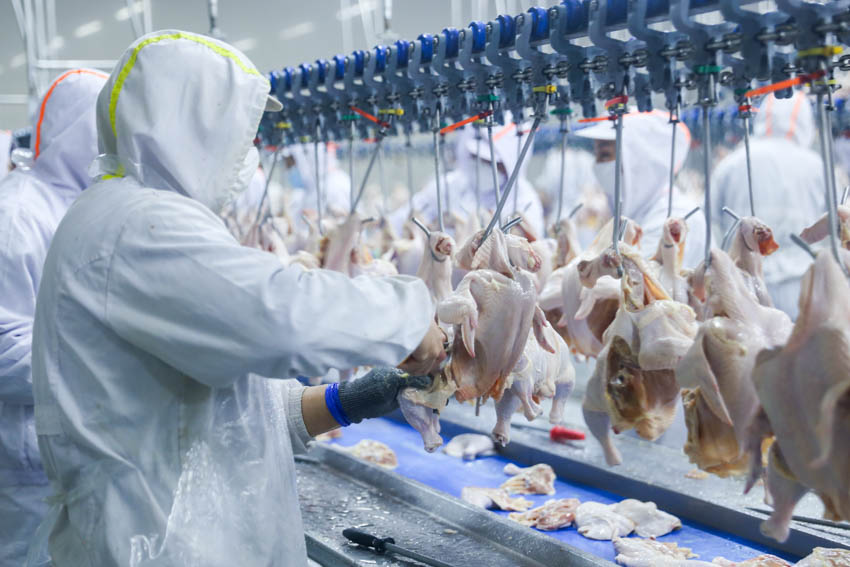 新华网辽宁频道乐动体育