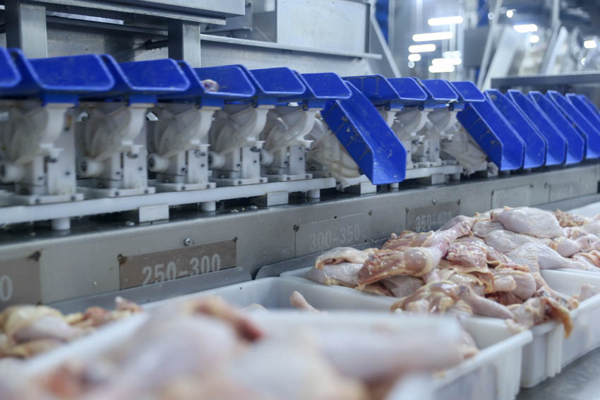 新华网辽宁频道乐动体育(图2)