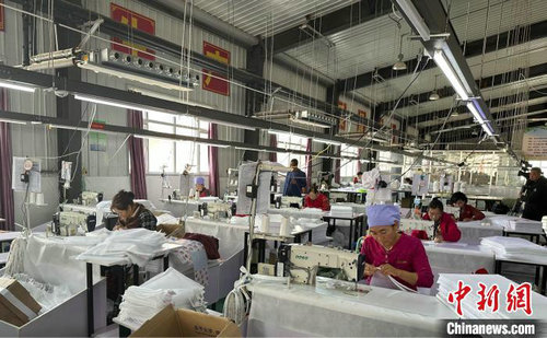 闽宁“山海情”：村民顾家挣钱两不误乐动体育(图3)