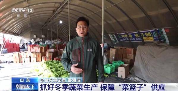 乐动体育 LD体育加固防寒措施 科学控温 各地多举措守好菜篮