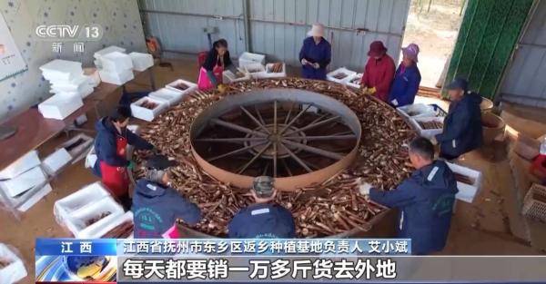 乐动体育 LD体育加固防寒措施 科学控温 各地多举措守好菜篮子(图3)