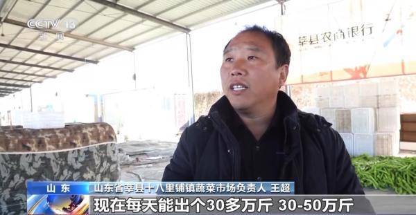 乐动体育 LD体育加固防寒措施 科学控温 各地多举措守好菜篮子(图2)