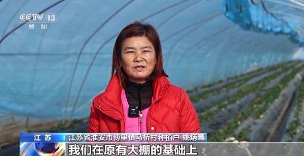 乐动体育 LD体育加固防寒措施 科学控温 各地多举措守好菜篮子(图8)