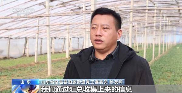 乐动体育 LD体育加固防寒措施 科学控温 各地多举措守好菜篮子(图6)