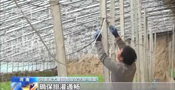 乐动体育 LD体育加固防寒措施 科学控温 各地多举措守好菜篮子(图7)