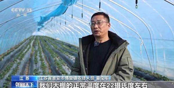 乐动体育 LD体育加固防寒措施 科学控温 各地多举措守好菜篮子(图9)