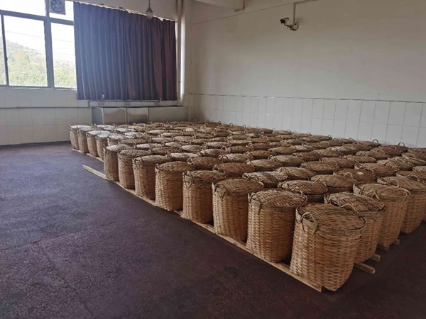 新春走基层丨“解锁”中华跌打丸、六堡茶、蜂蜜的制作技艺各网络媒体代表走进梧州食品医药企业乐动体育(图2)