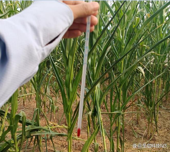 温室大棚物联网控制系统手机管理温室大棚！乐动体育