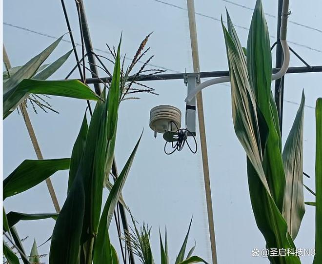 温室大棚物联网控制系统手机管理温室大棚！乐动体育(图3)