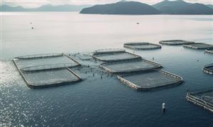 2023年中国核仪器仪表市场发展现状：预计行业年市场容量将在100亿元左右LD乐动体育(图4)