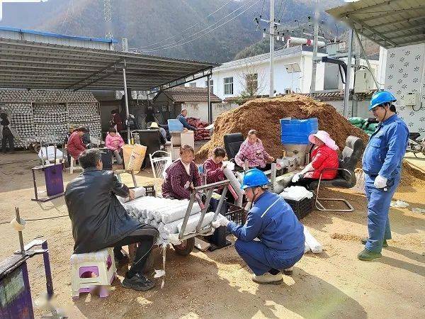 乐动体育【“进、知、解”㉘ 】留坝用心用情干在实处(图4)