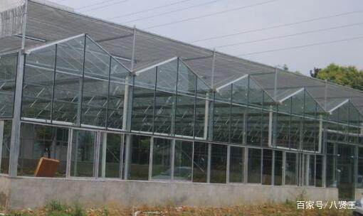 什么是智能温室大棚发展前景如何一亩地需要多少LD乐动体育钱