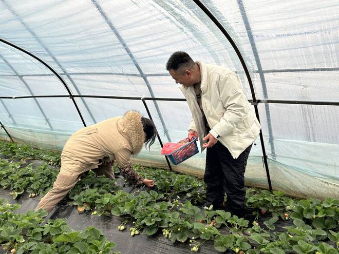 许昌襄城：家庭农LD乐动体育场引客来