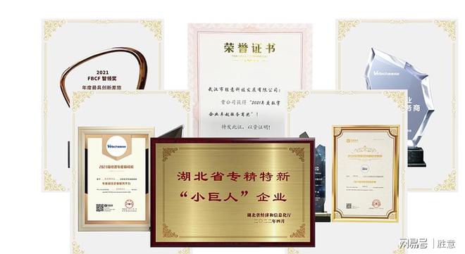 回顾这一年胜意费控LD乐动 乐动体育数字化产品与服务不断升级(图10)