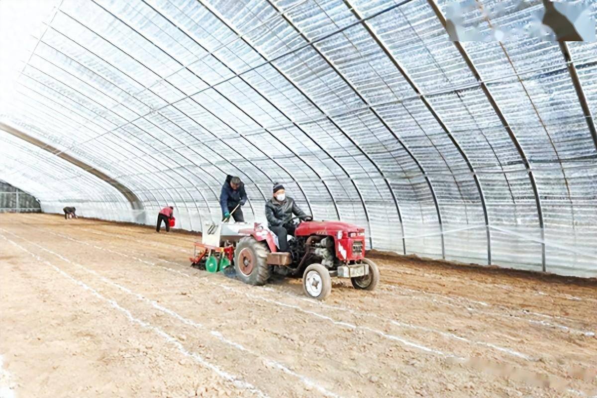 沁县龙头企业“棚”勃发展带LD乐动 乐动体育动村民增收致富