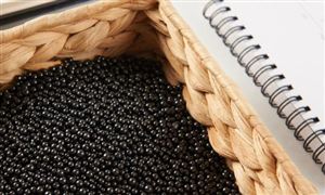 国产仪LD乐动 乐动体育器仪表行业蓬勃发展 仪器仪表行业市场规模分析(图6) 国产仪LD乐动 乐动体育器仪表行业蓬勃发展 仪器仪表行业市场规模分析(图6)