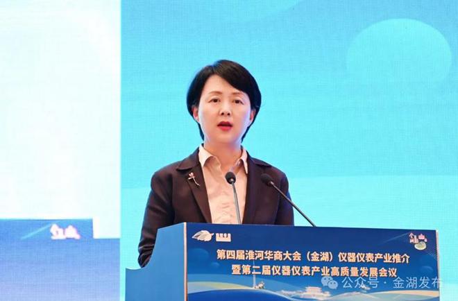 第四届淮河华商大会(金湖)仪器仪乐动体育 LD体育表产业推介暨第二届仪器仪表产业高质量发展会议在金举行(图2) 第四届淮河华商大会(金湖)仪器仪乐动体育 LD体育表产业推介暨第二届仪器仪表产业高质量发展会议在金举行(图2)