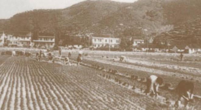 乐动体育 LD体育建区40周年 从牛耕到机耕40年织就现代农耕图(图2) 乐动体育 LD体育建区40周年 从牛耕到机耕40年织就现代农耕图(图2)