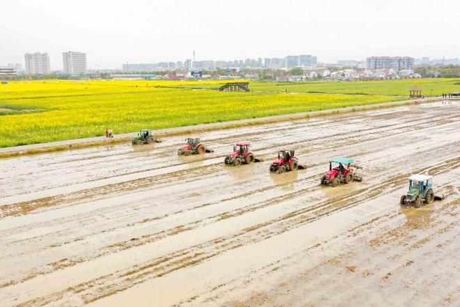 乐动体育 LD体育建区40周年 从牛耕到机耕40年织就现代农