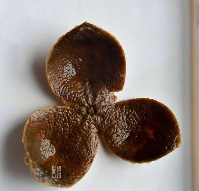 青皮、二红皮、大红皮？该怎么选？LD乐动 乐动体育