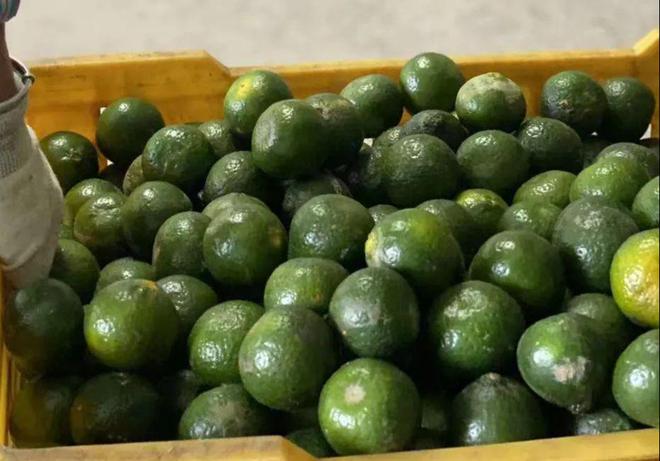 青皮、二红皮、大红皮?该怎么选?LD乐动 乐动体育(图2) 青皮、二红皮、大红皮?该怎么选?LD乐动 乐动体育(图2)