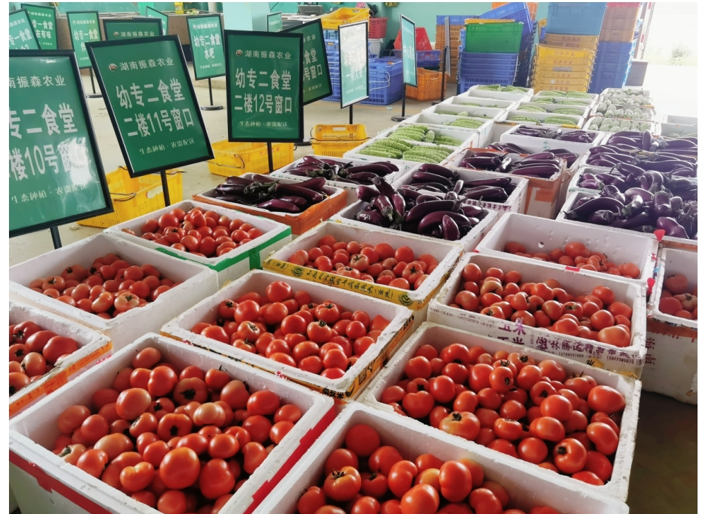 邵阳市双清区:1台手机“翻转LD乐动体育”2万余平方米农田(图3) 邵阳市双清区:1台手机“翻转LD乐动体育”2万余平方米农田(图3)