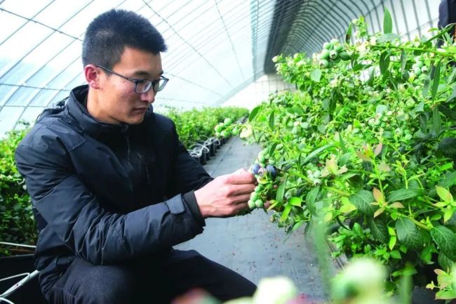 乐动体育 LD体育威海乳山：产业集群成势民生幸福“加码”