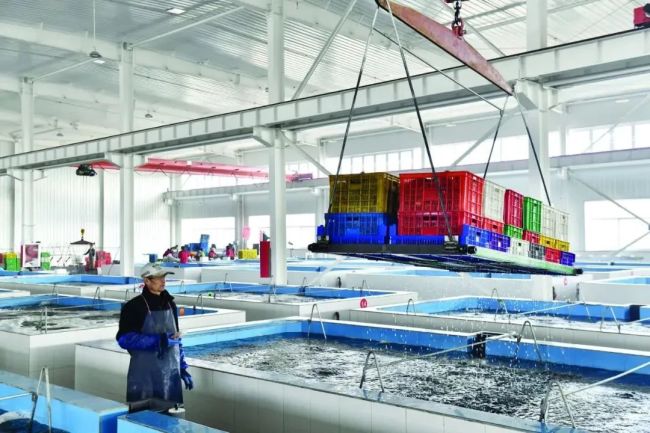 乐动体育 LD体育威海乳山：产业集群成势民生幸福“加码”(图2)