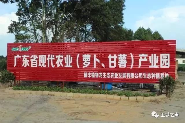 碣石的甘薯产业发展迅猛有望带动农民发展致富……LD乐动体育(图3) 碣石的甘薯产业发展迅猛有望带动农民发展致富……LD乐动体育(图3)