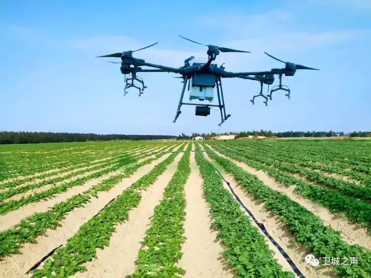 碣石的甘薯产业发展迅猛有望带动农民发展致富……LD乐动体育(图4) 碣石的甘薯产业发展迅猛有望带动农民发展致富……LD乐动体育(图4)