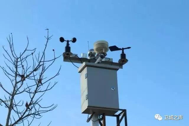 碣石的甘薯产业发展迅猛有望带动农民发展致富……LD乐动体育(图5) 碣石的甘薯产业发展迅猛有望带动农民发展致富……LD乐动体育(图5)