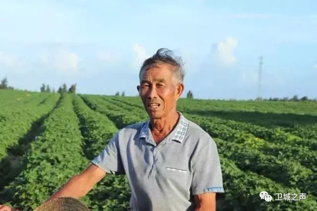 碣石的甘薯产业发展迅猛有望带动农民发展致富……LD乐动体育(图7) 碣石的甘薯产业发展迅猛有望带动农民发展致富……LD乐动体育(图7)