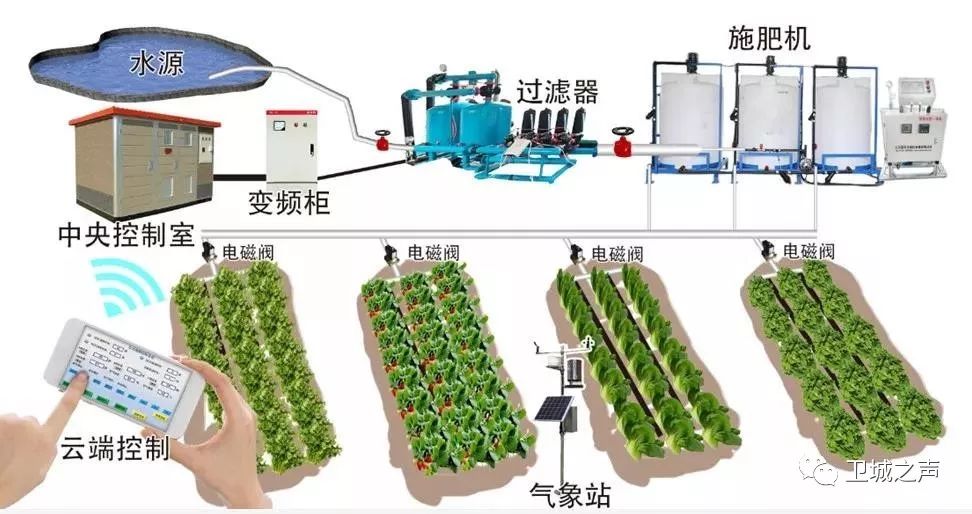 碣石的甘薯产业发展迅猛有望带动农民发展致富……LD乐动体育(图8) 碣石的甘薯产业发展迅猛有望带动农民发展致富……LD乐动体育(图8)