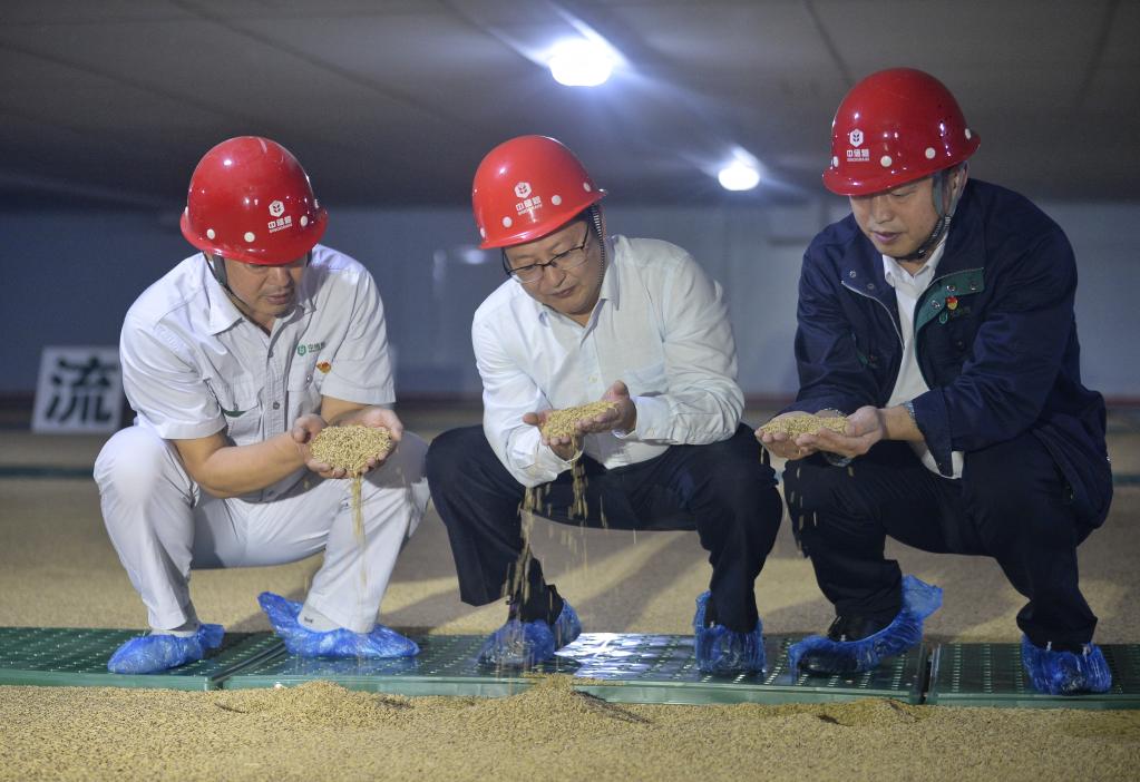 科技赋能守护大国乐动体育粮仓