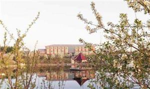 乐动体育2022仪器仪表行业发展现状及市场前景分析(图6) 乐动体育2022仪器仪表行业发展现状及市场前景分析(图6)